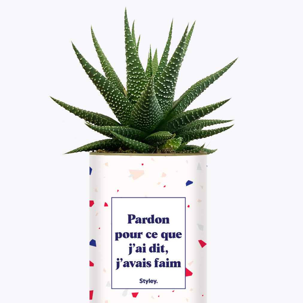 Pardon pour ce que j'ai dit, j'avais faim - Cactus
