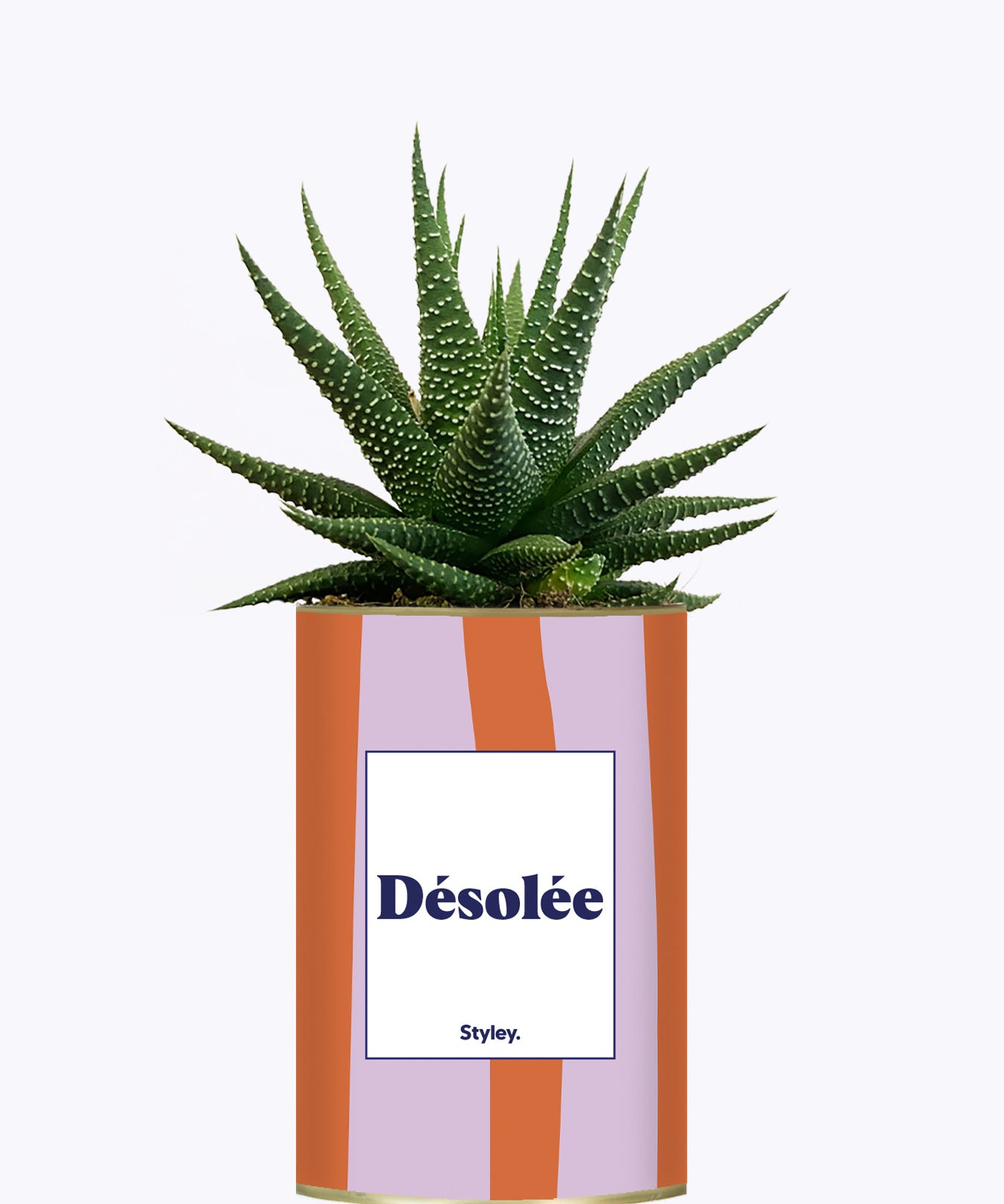 Désolée - Cactus
