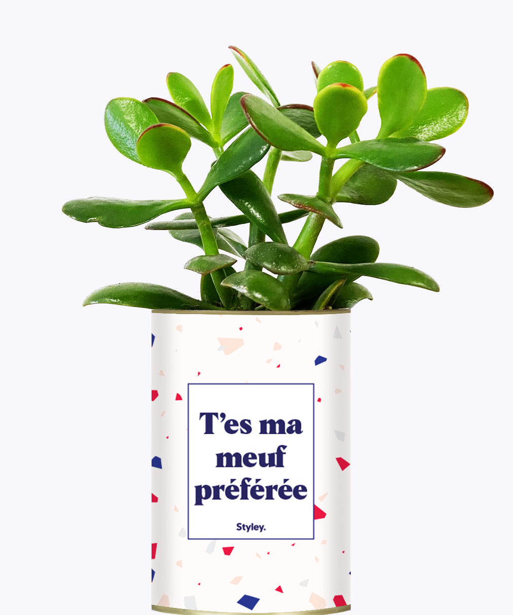 T'es ma meuf préférée - Cactus