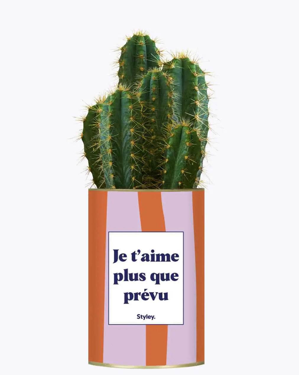 Je t'aime plus que prévu - Plante Cactus varié