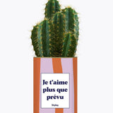Je t'aime plus que prévu - Plante Cactus varié