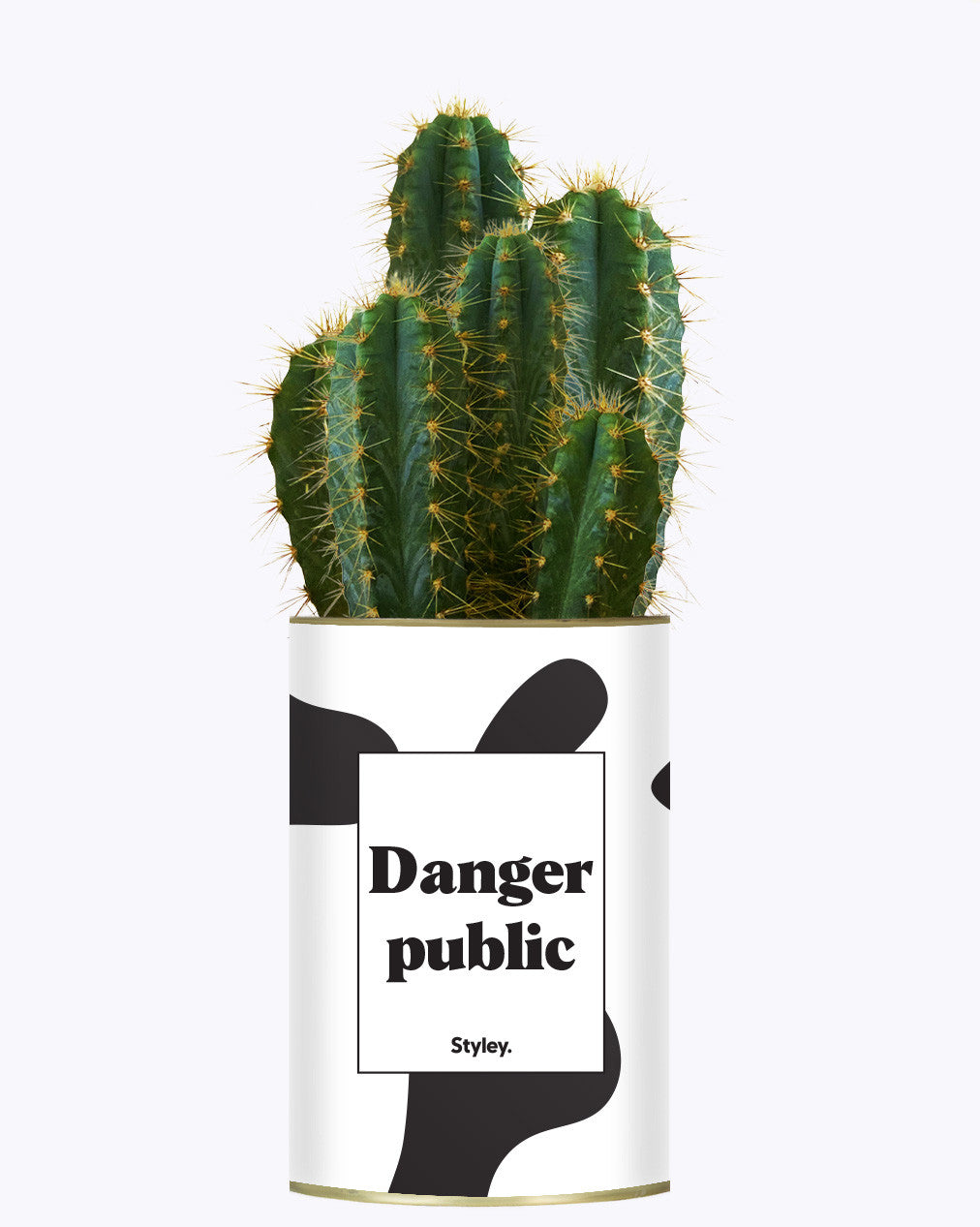 Danger Public - Cactus