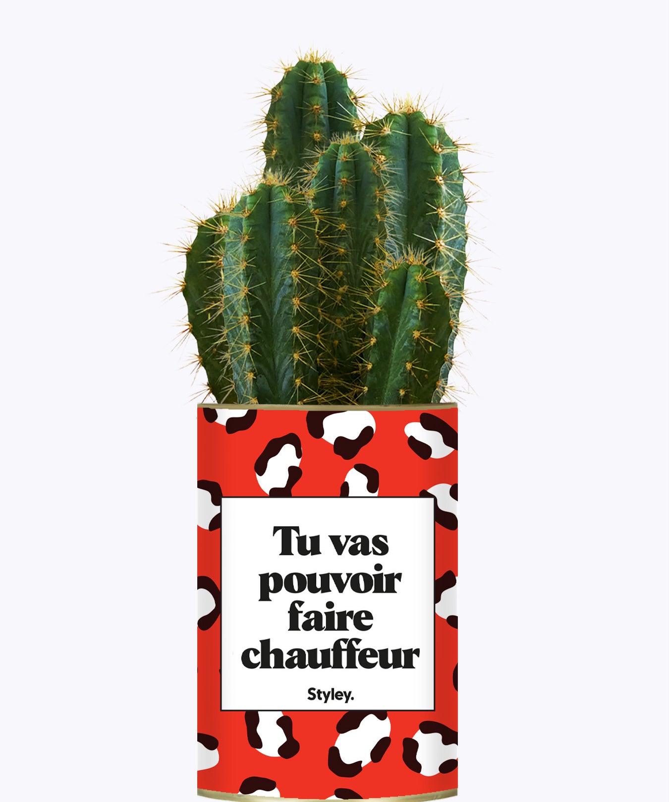 Tu vas pouvoir faire chauffeur - Cactus