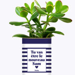 Tu vas être le nouveau Sam - Cactus