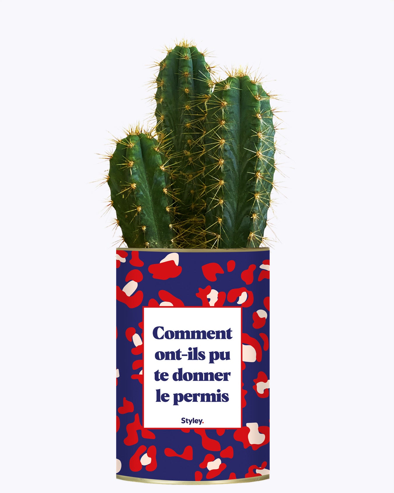 Comment ont-ils pu te donner le permis ? - Cactus