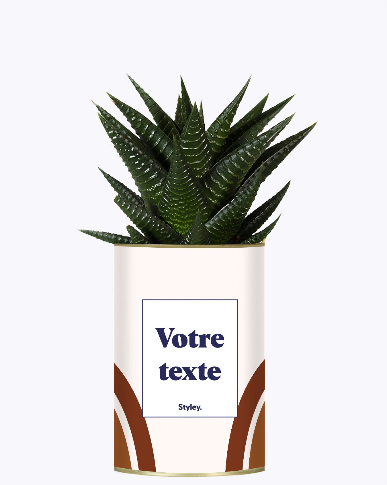 Arc - Plante personnalisable