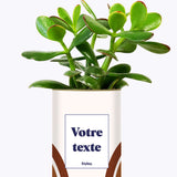 Arc - Plante personnalisable