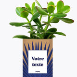 Grande Palme - Plante personnalisable