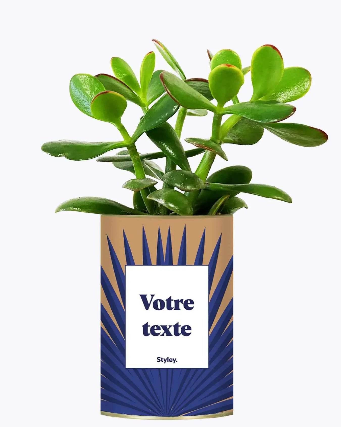 Grande Palme - Plante personnalisable