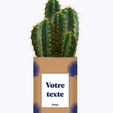 Petite Palme - Plante personnalisable