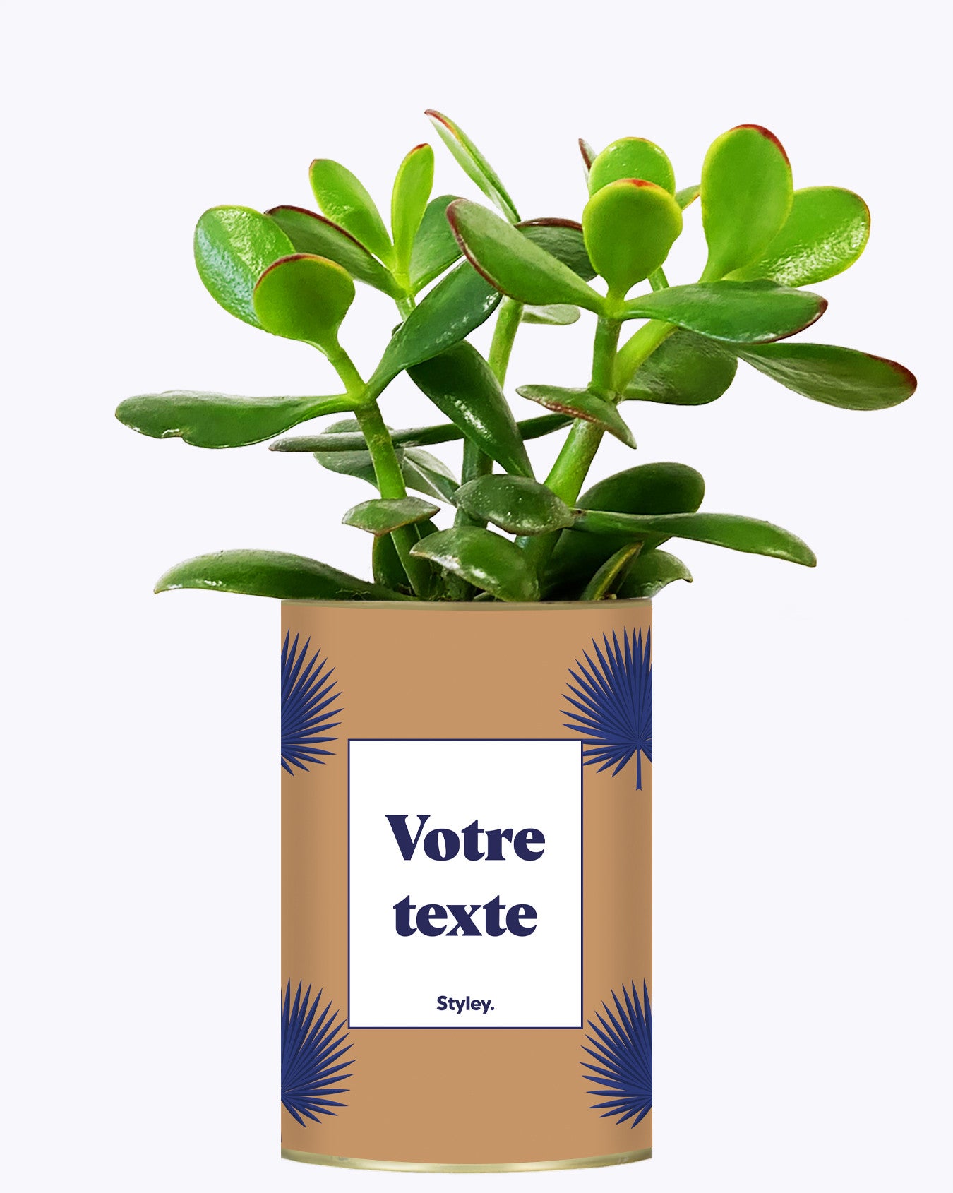 Petite Palme - Plante personnalisable