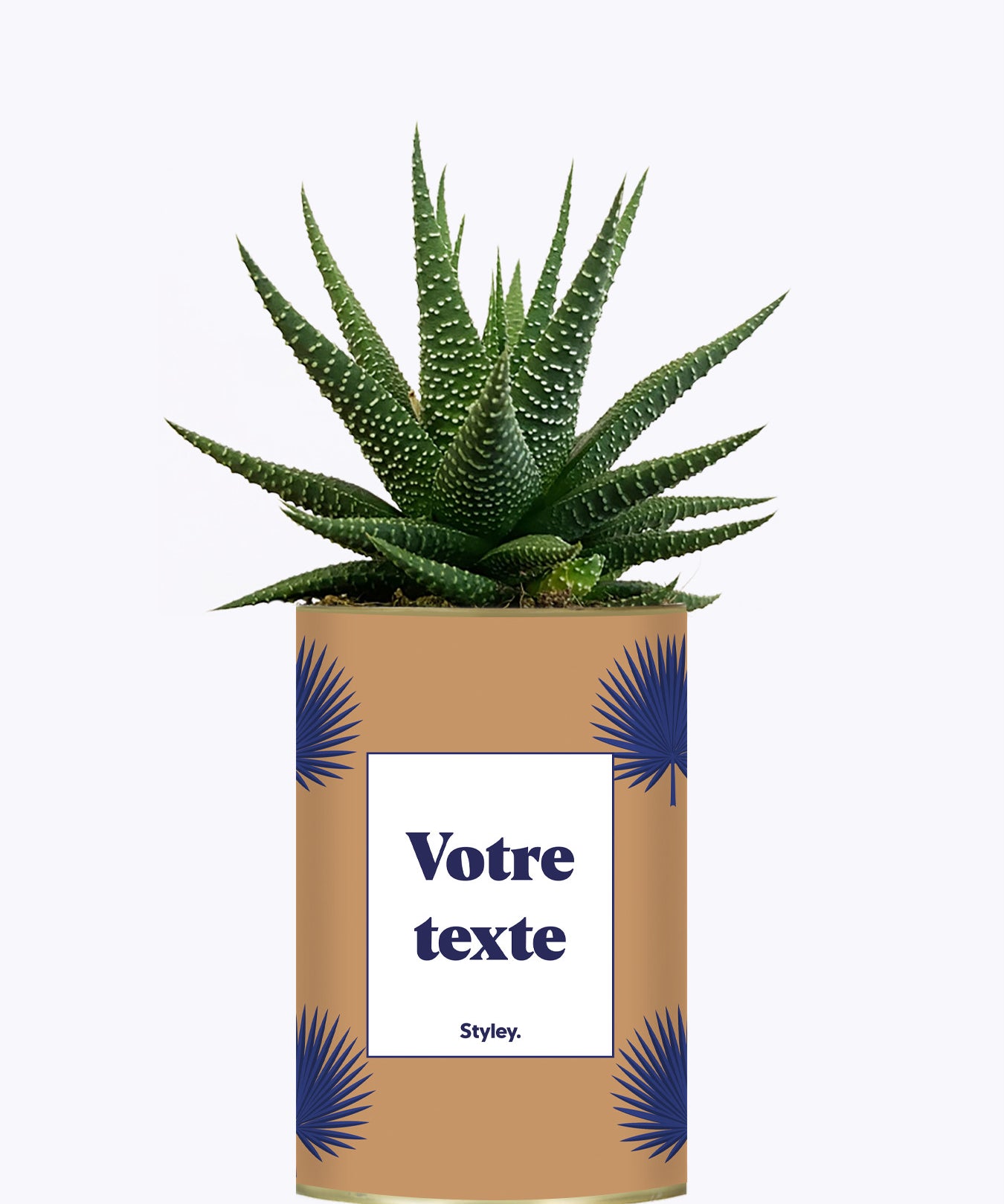 Petite Palme - Plante personnalisable
