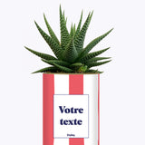 Rayures corail - Plante personnalisable