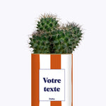 Rayures Terracotta - Plante personnalisable