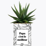 Papa c'est le meilleur - Plante Haworthia varié