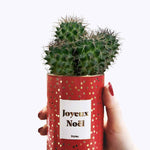 Joyeux Noël - Cactus - Finition doré