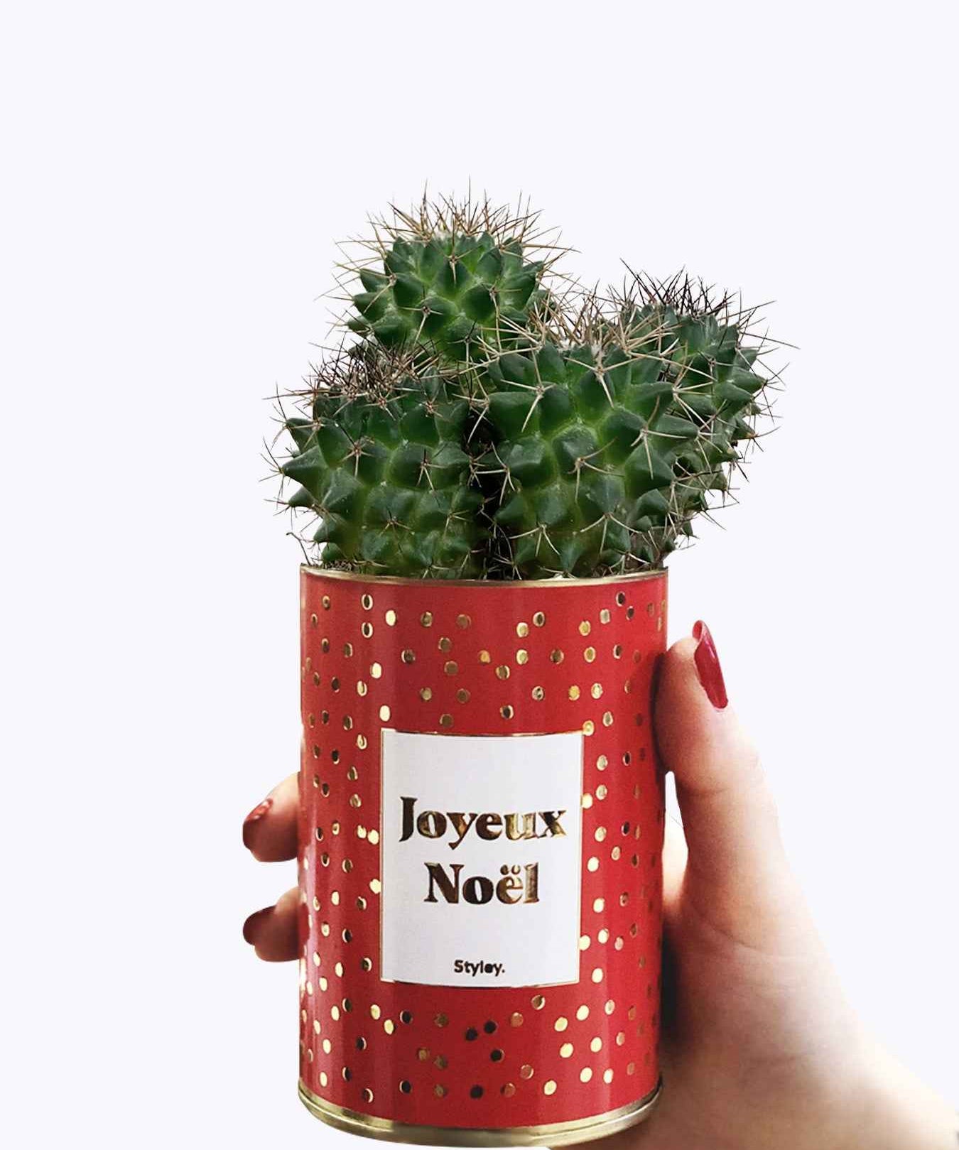 Joyeux Noël - Cactus - Finition doré