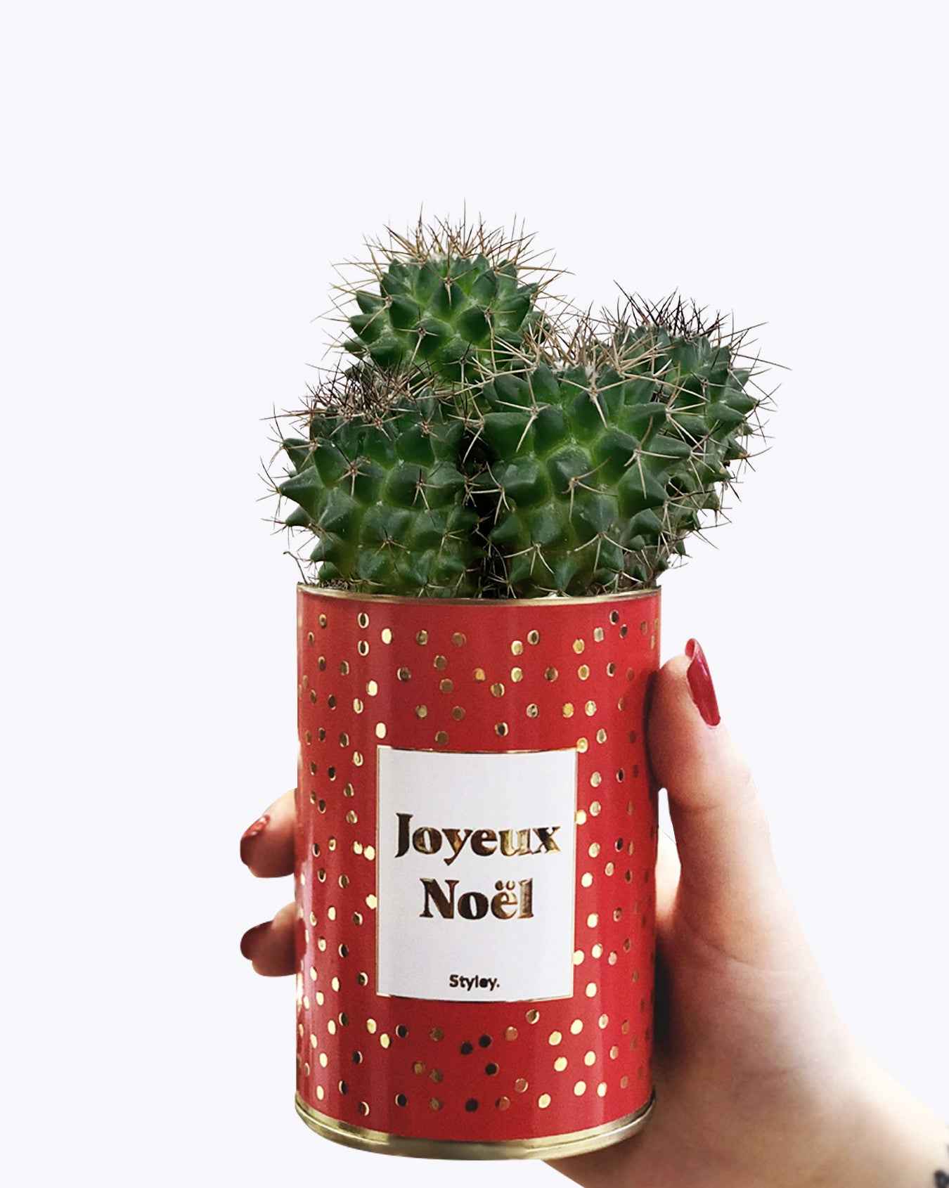 Joyeux Noël - Cactus - Finition doré