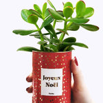 Joyeux Noël - Cactus - Finition doré