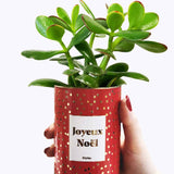 Joyeux Noël - Cactus - Finition doré