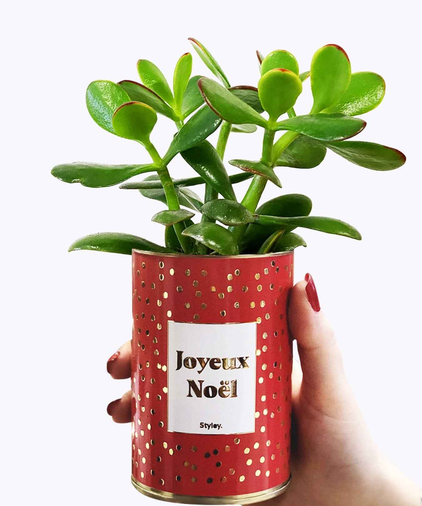 Joyeux Noël - Cactus - Finition doré