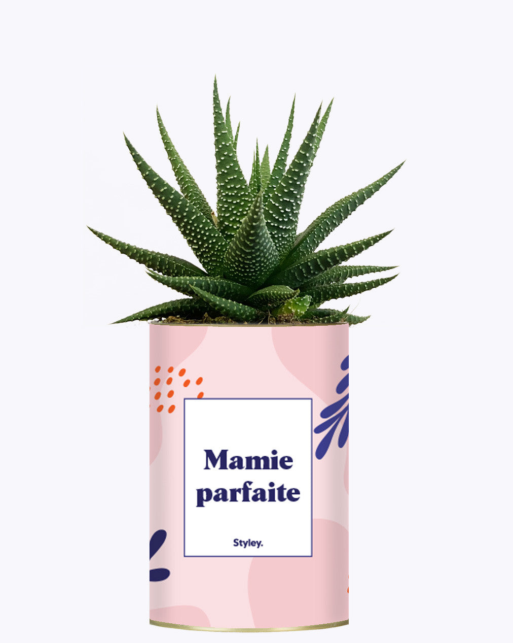 Mamie parfaite - Cactus