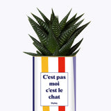 C'est pas moi c'est le chat - Cactus