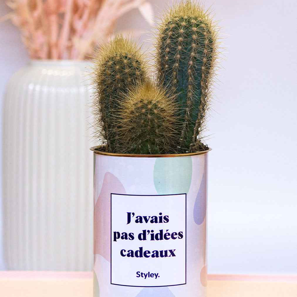 J'avais pas d'idées cadeaux - Cactus