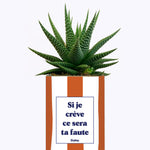 Si je crève ce sera ta faute - Plante