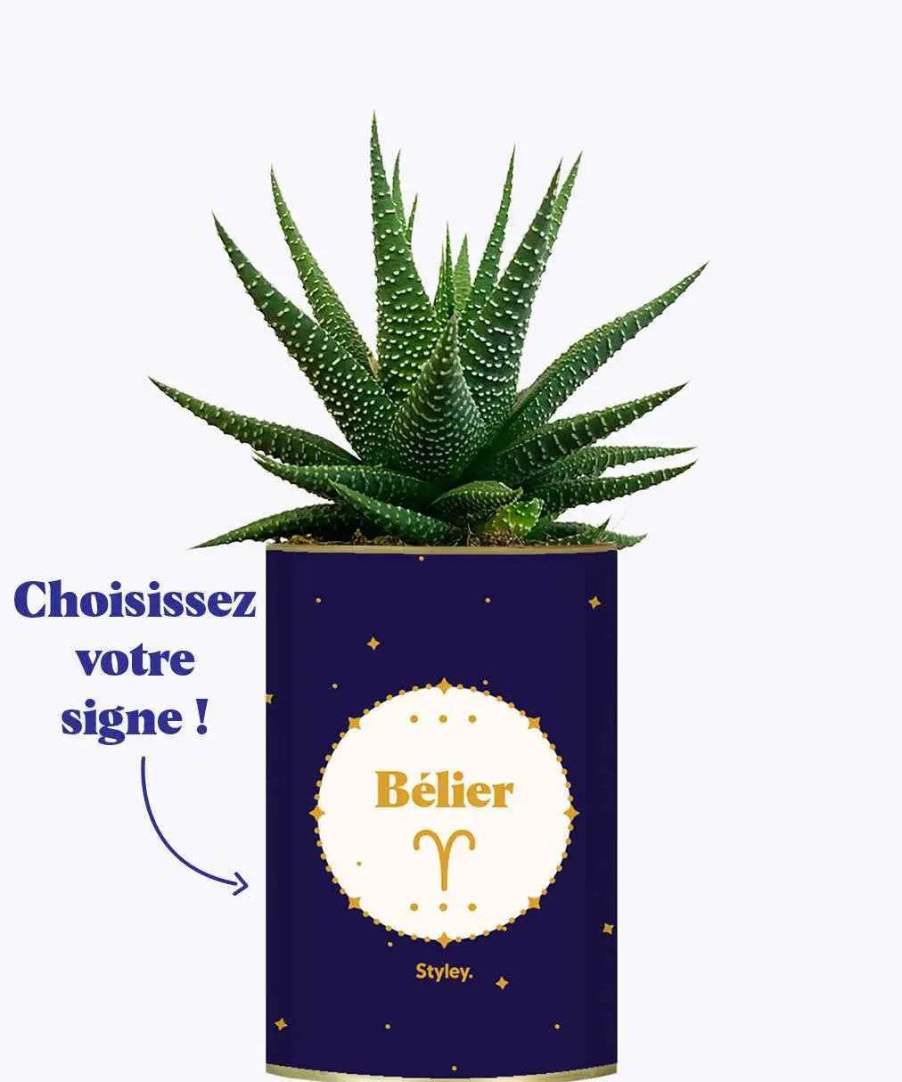 Astrologie - Plante zodiac