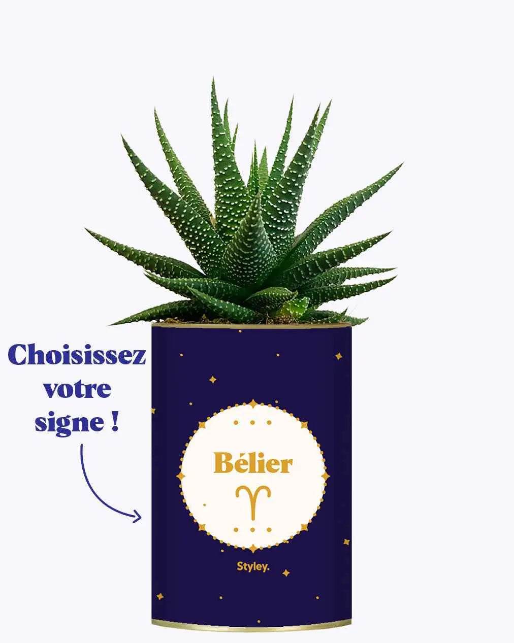 Astrologie - Plante zodiac