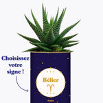 Astrologie - Plante zodiac