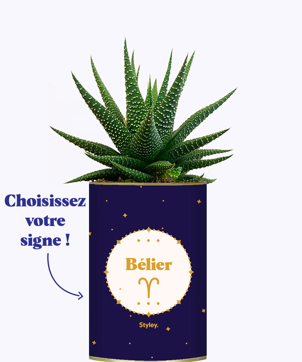 Astrologie - Plante zodiac