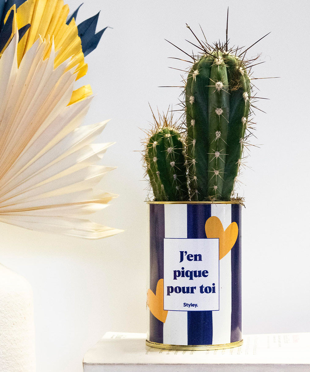 J'en pique pour toi - Plante