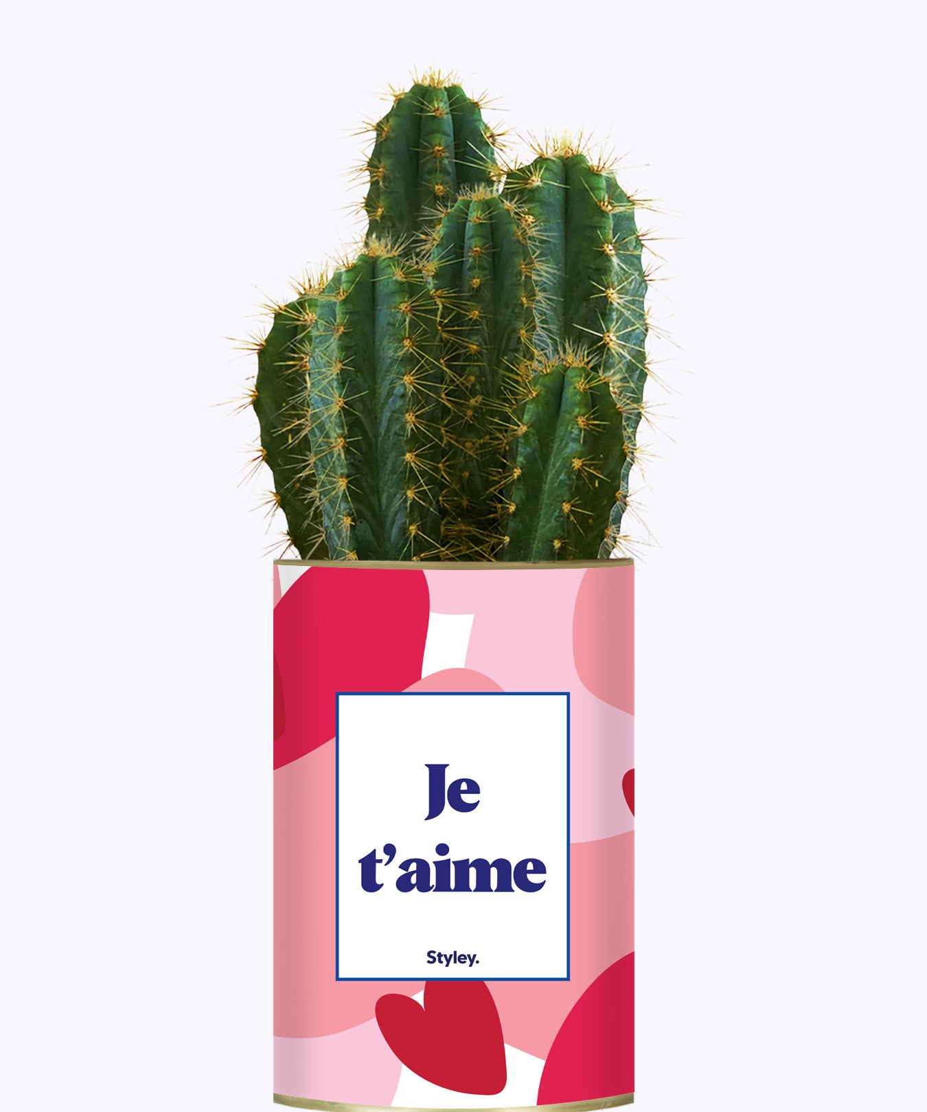 Aime - Saint Valentin - Cactus