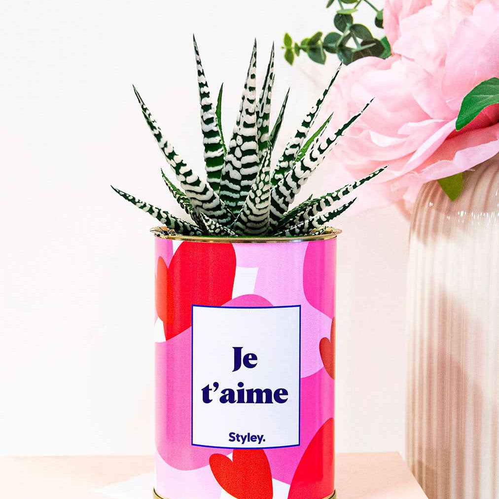 Aime - Saint Valentin - Cactus
