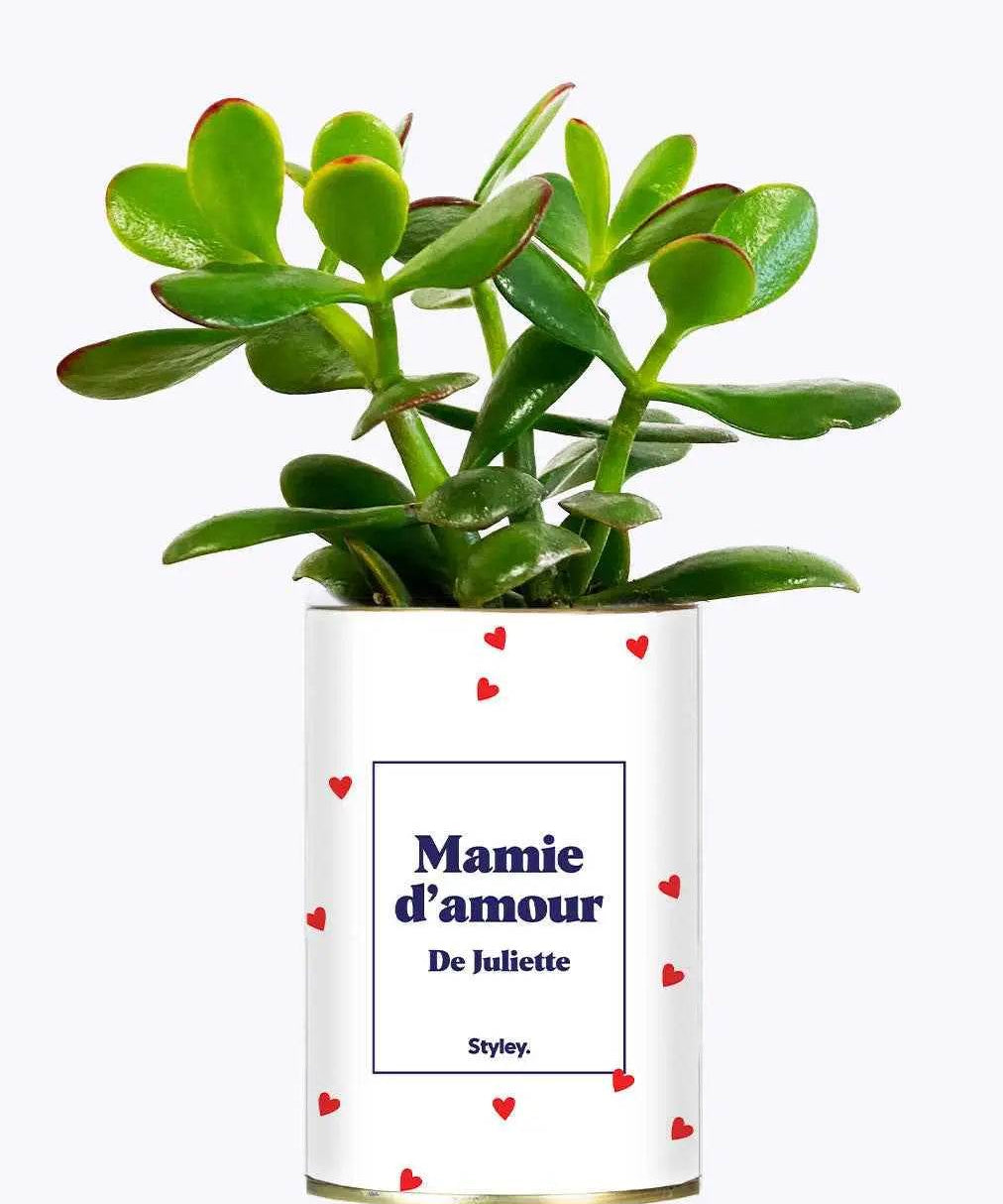 Mamie d'amour personnalisable - Cactus