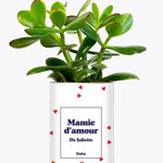 Mamie d'amour personnalisable - Plante Crassula varié