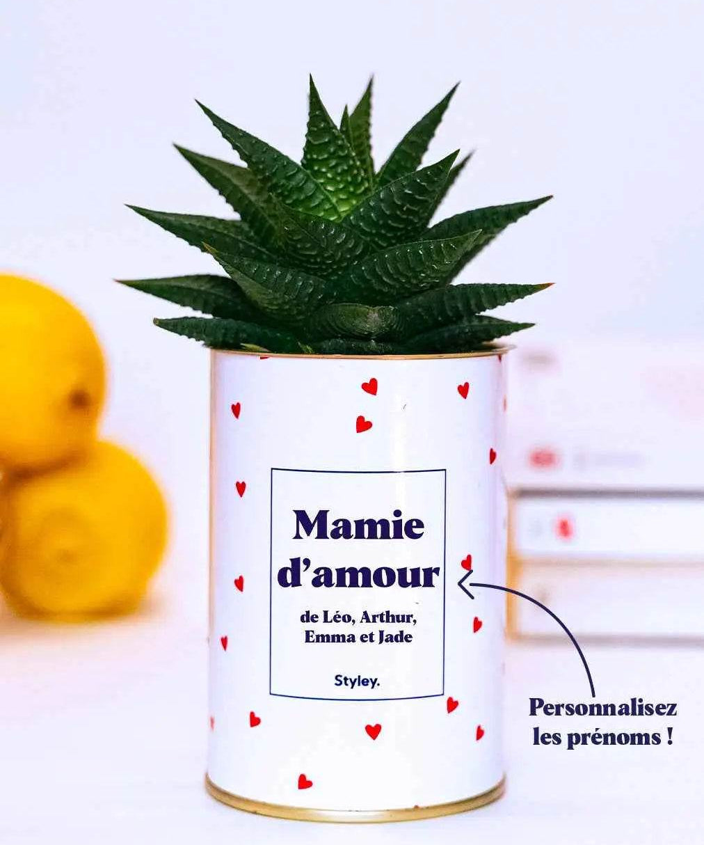 Mamie d'amour personnalisable - Cactus