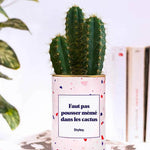 Faut pas pousser mémé dans les cactus - Plante
