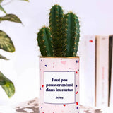 Faut pas pousser mémé dans les cactus - Plante