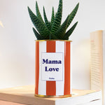 Mama Love - Cactus