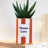 Mama Love - Cactus