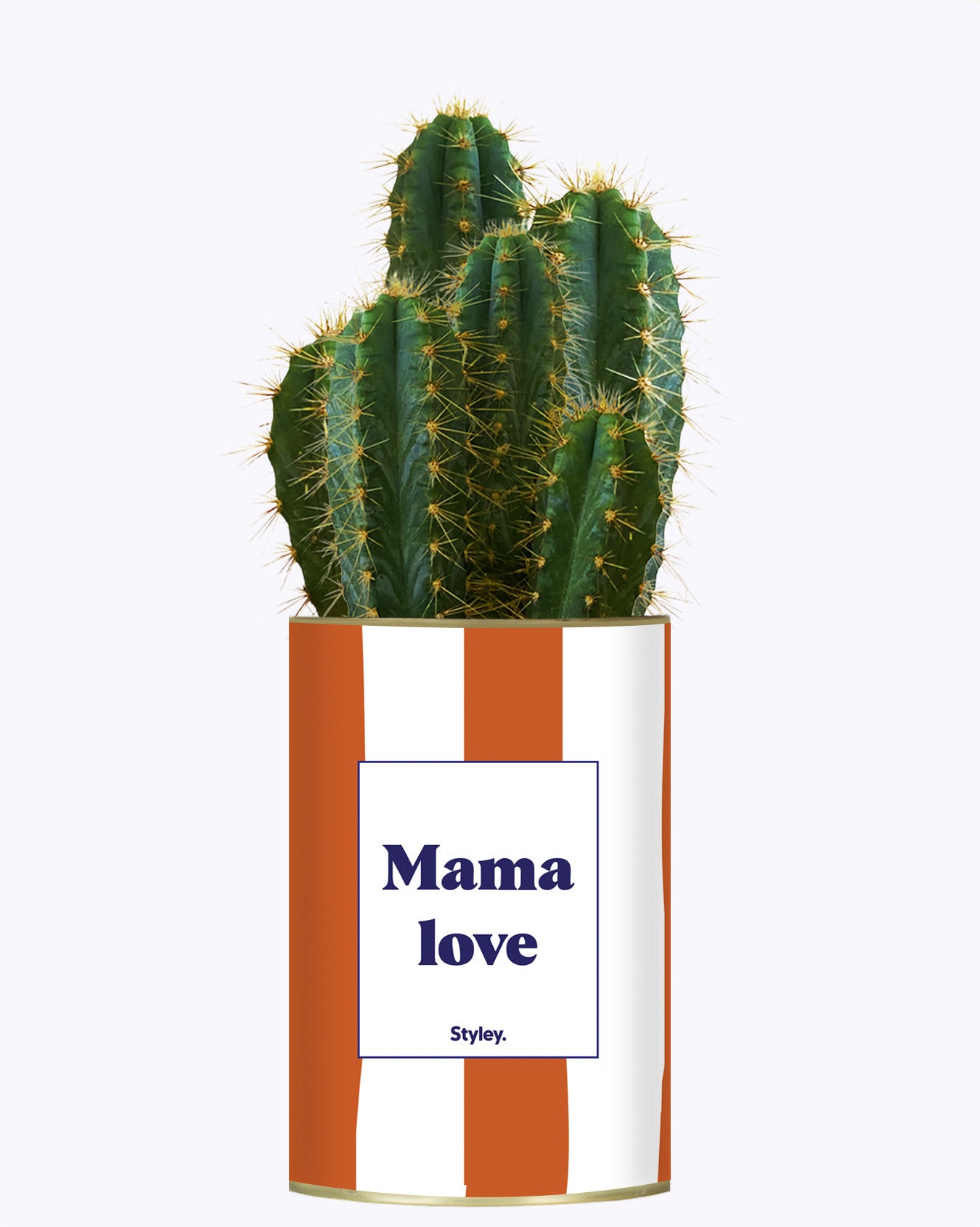 Mama Love - Cactus