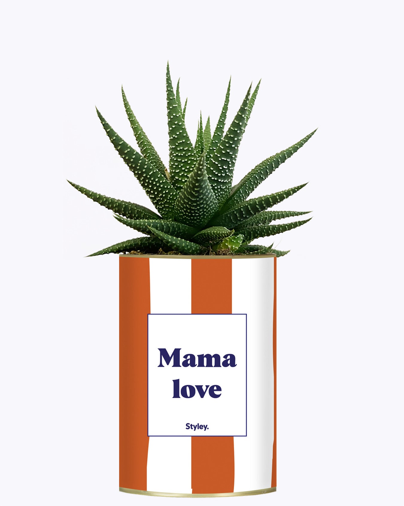 Mama Love - Cactus