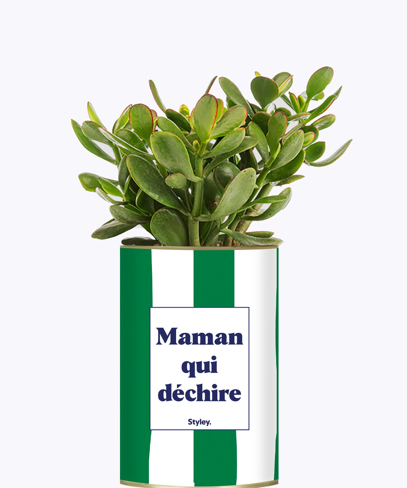 Maman qui déchire - Cactus