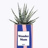 Wonder mum - Cactus