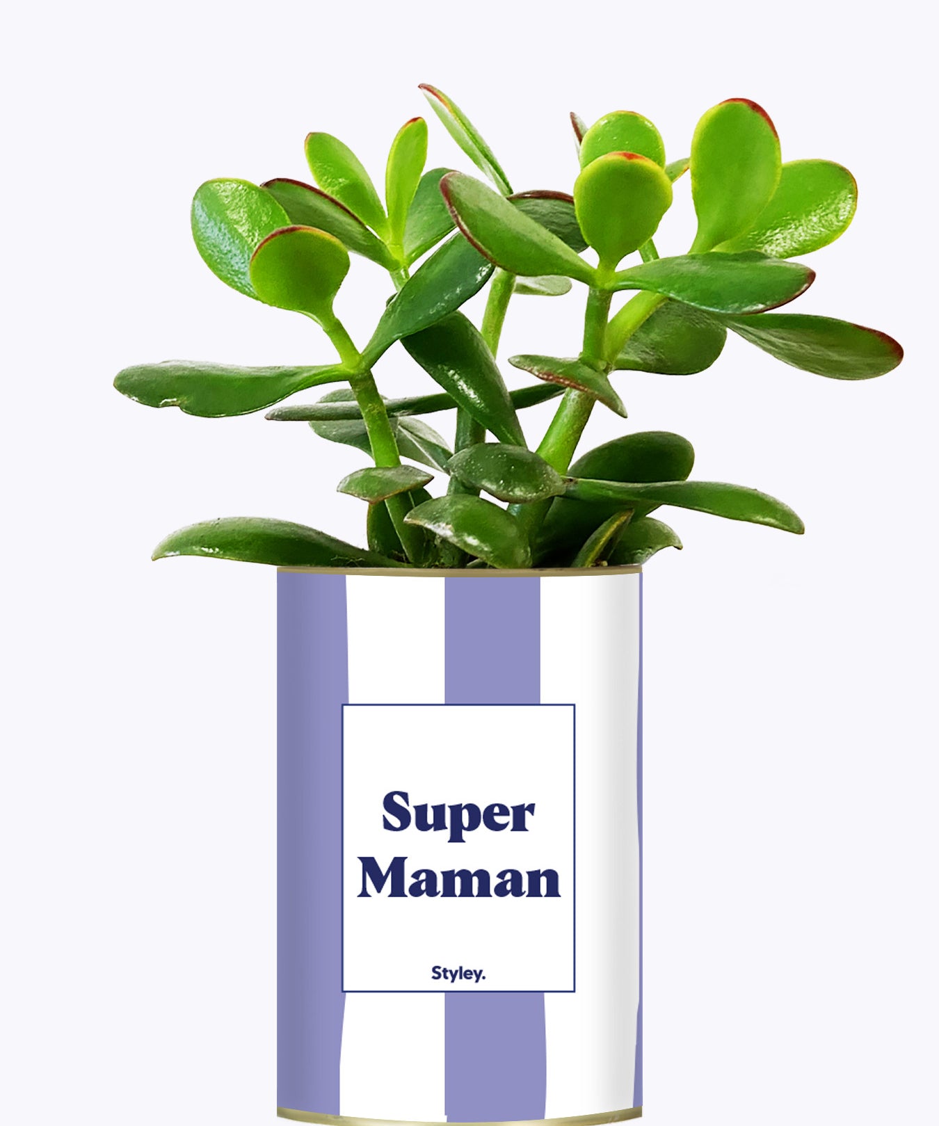 Super Maman - Cactus