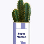 Super Maman - Cactus