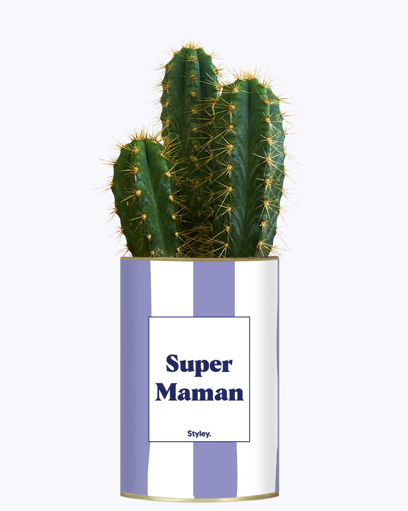 Super Maman - Cactus